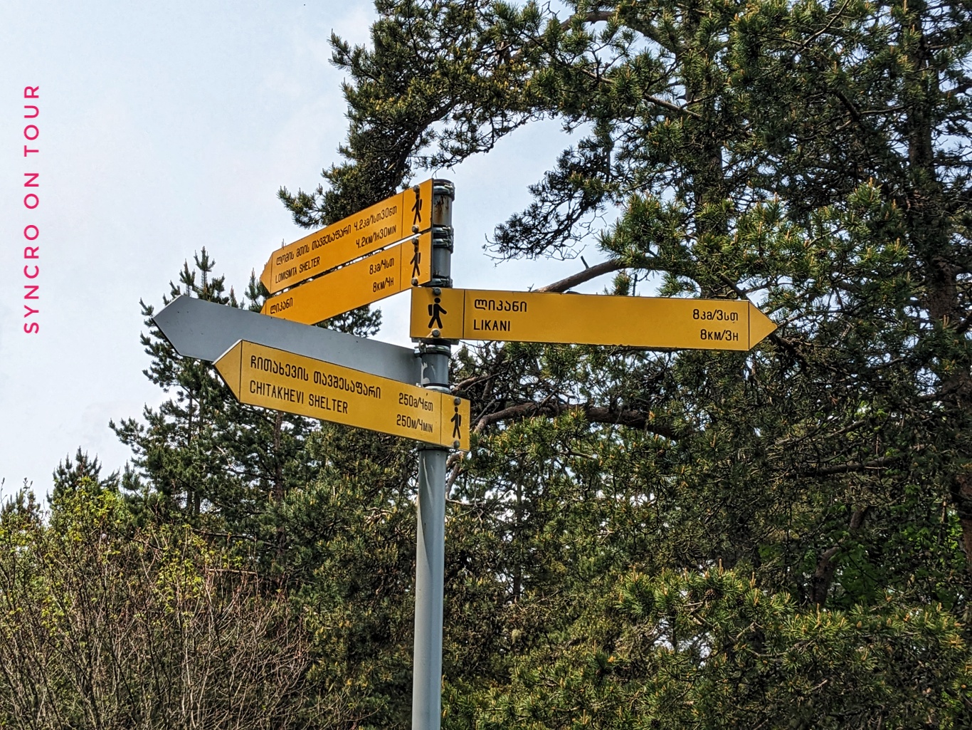 Wanderung im Borjomi-Nationalpark (die Schneeschuhrunde)