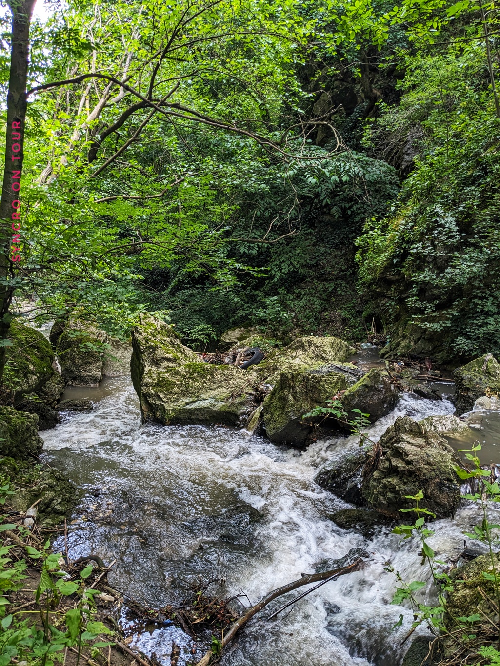 Adlerschlucht und Lagodekhi
