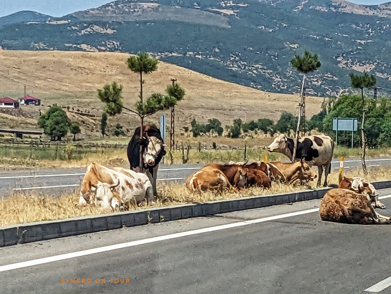 Munzur-Vadisi Nationalpark (Tunceli)